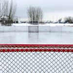 The Future of Virtual Sports Betting